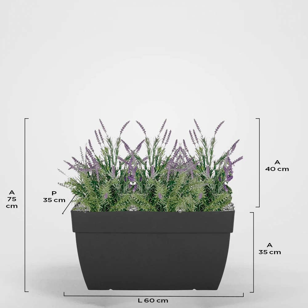 Dénia 35Px35Ax60L