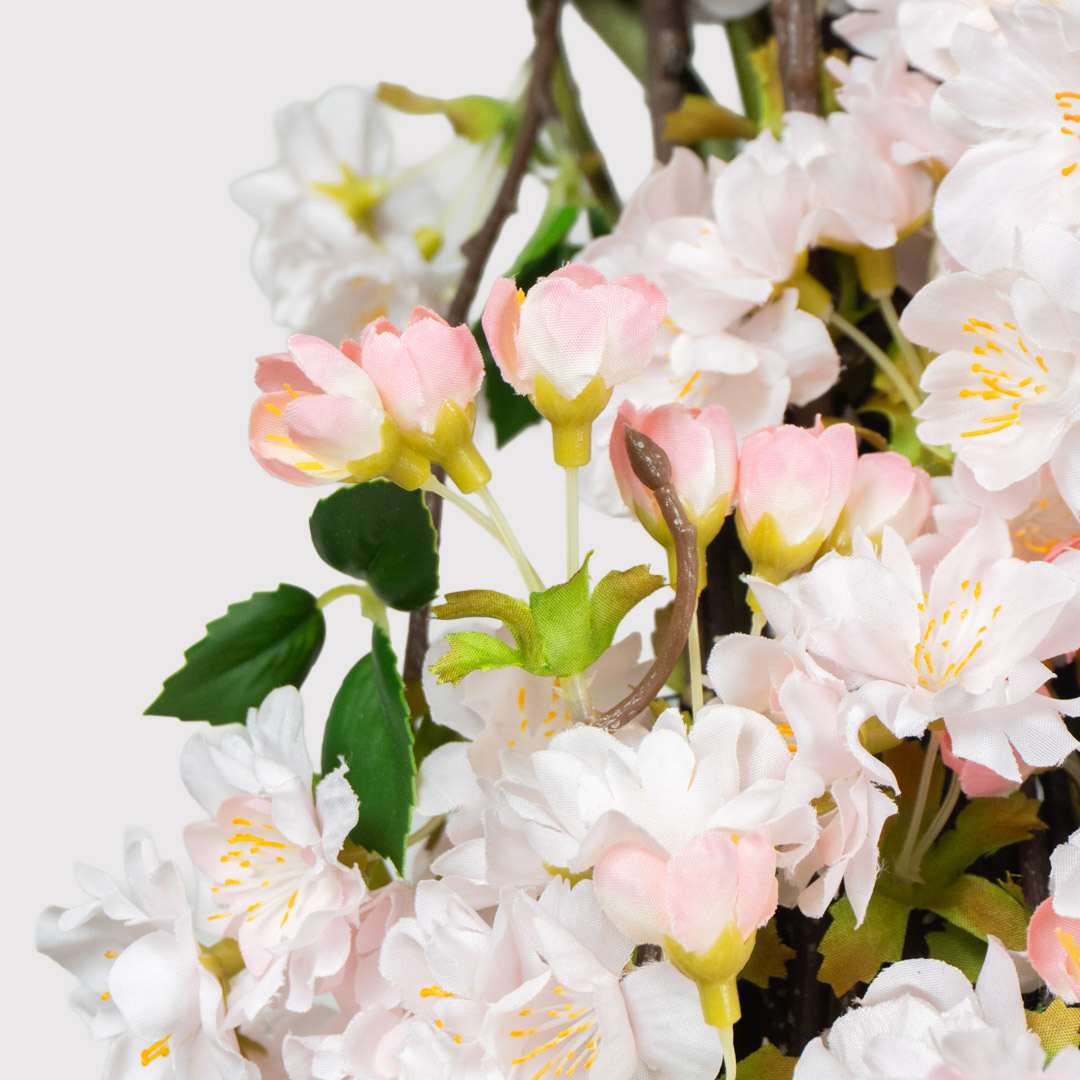Cerezo Rosa Individual Rígida