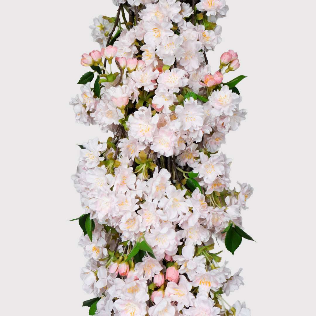 Cerezo Rosa Individual Rígida