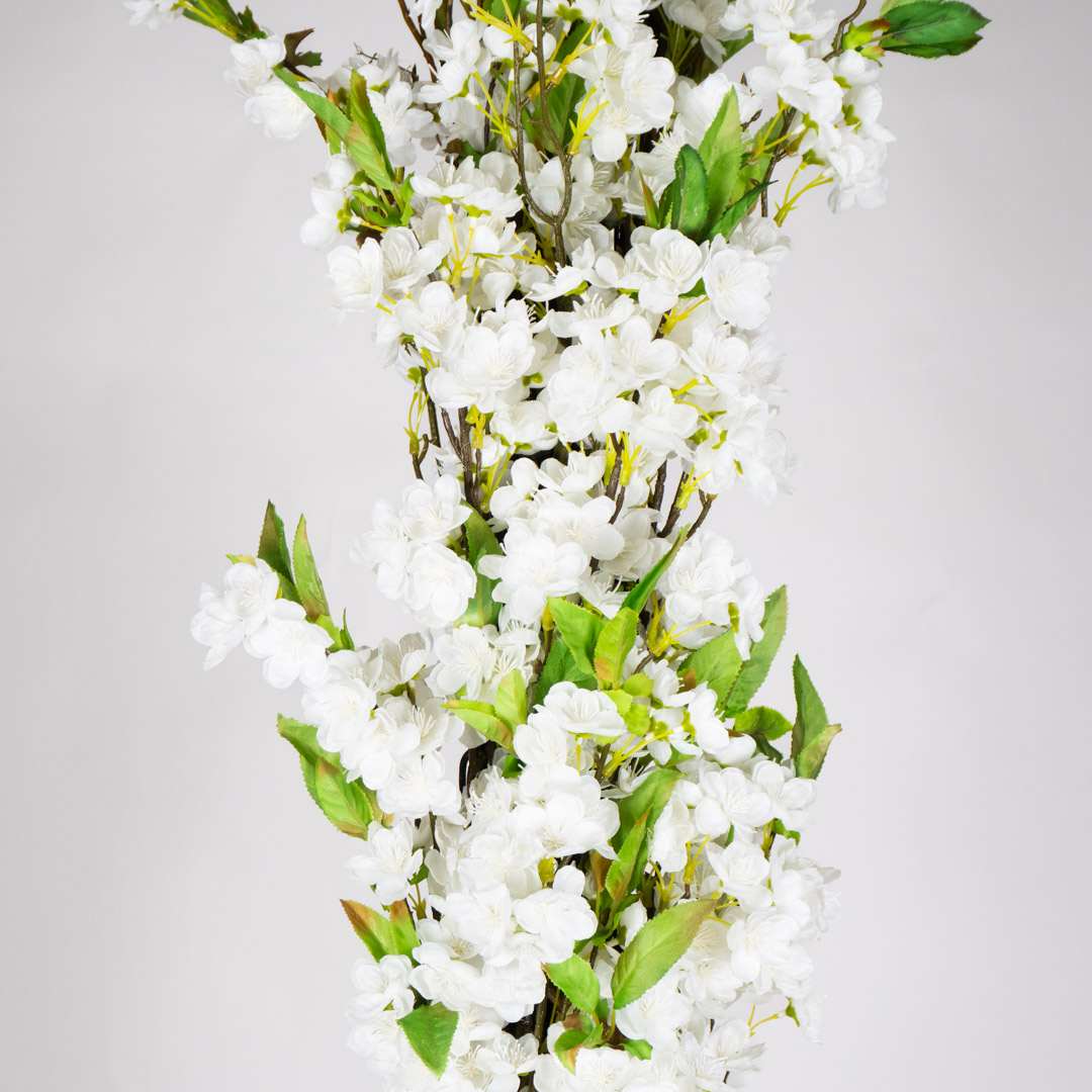 Enredadera Almendro Flexible
