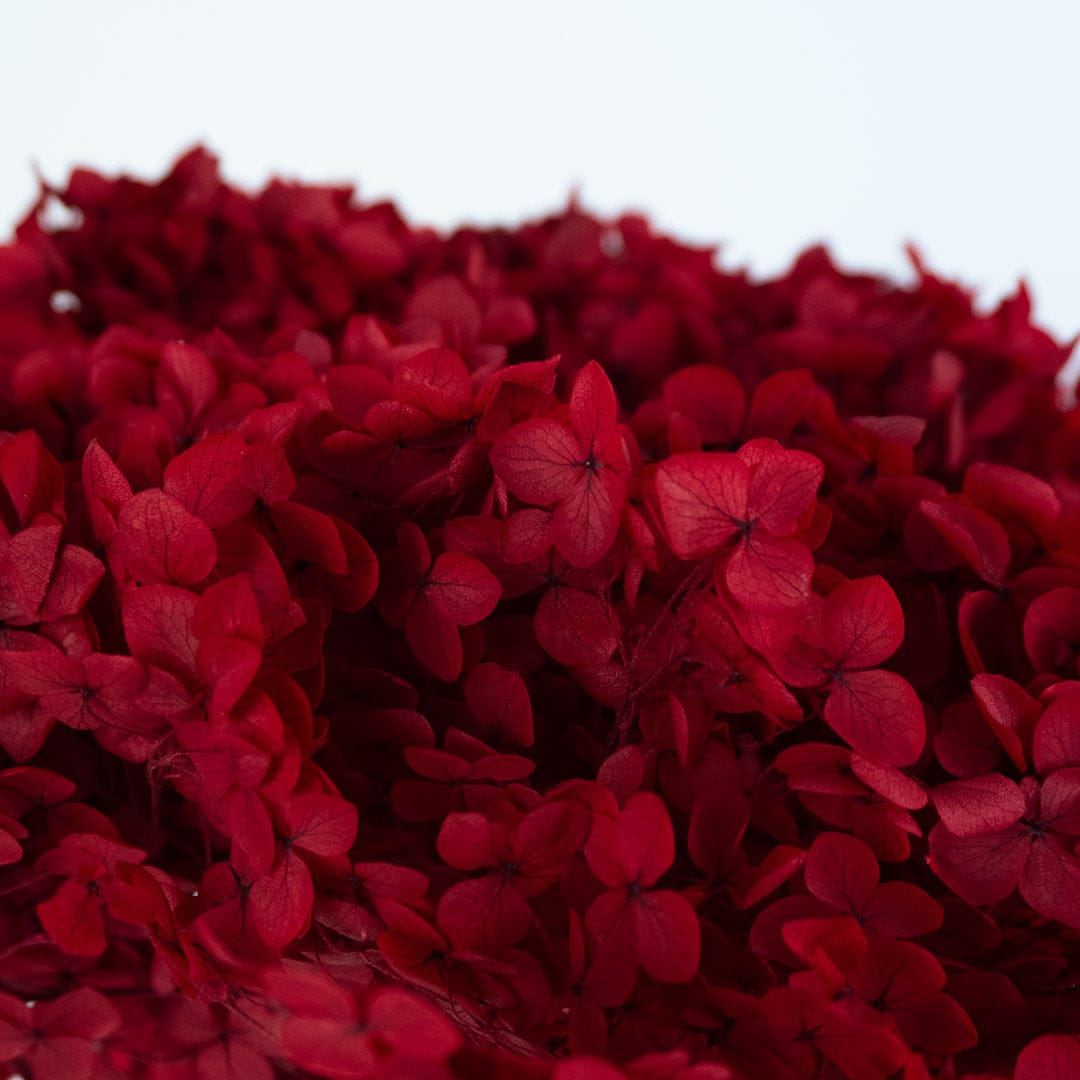 Ramo Hortensia Rojo