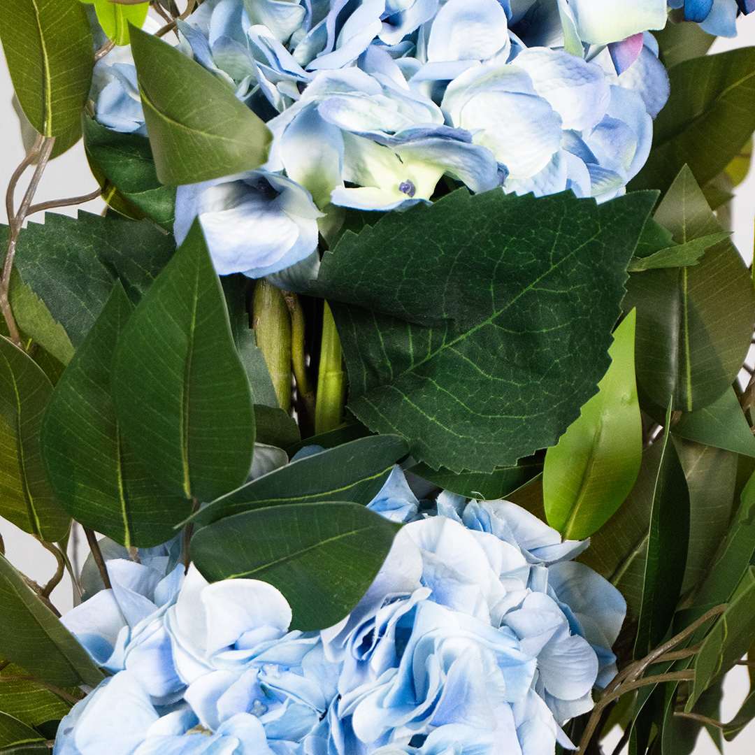 Ficus Hortensia Individual Flexible