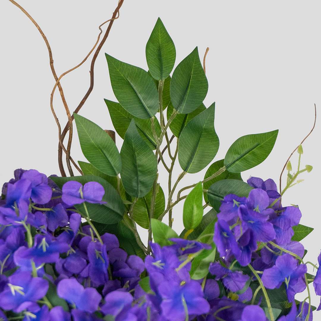 Wisteria Individual Con Maceta