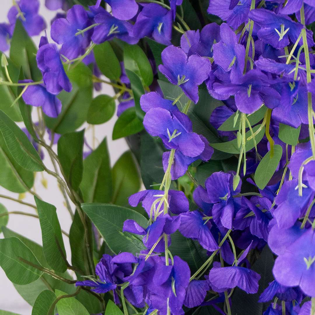 Wisteria Individual Con Maceta