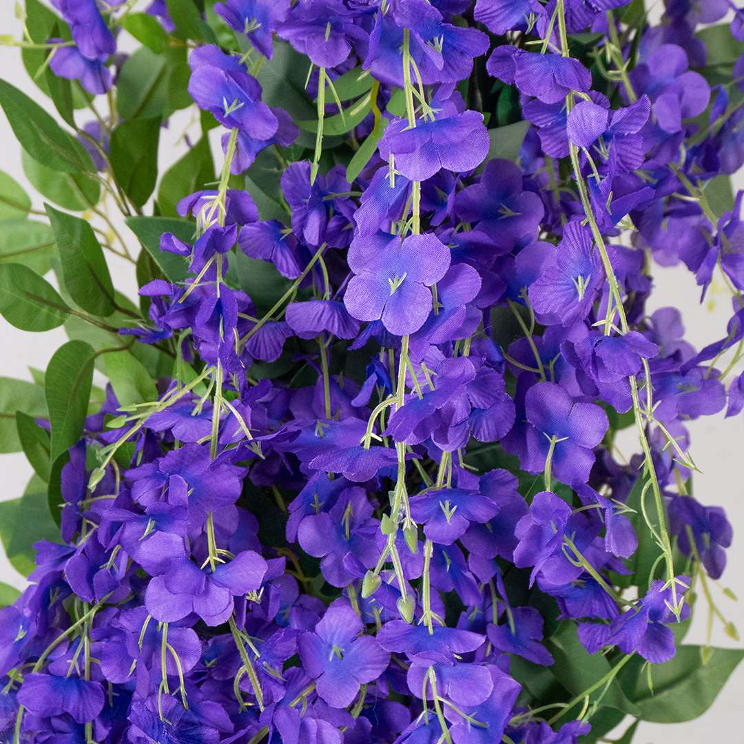 Wisteria Individual Con Maceta