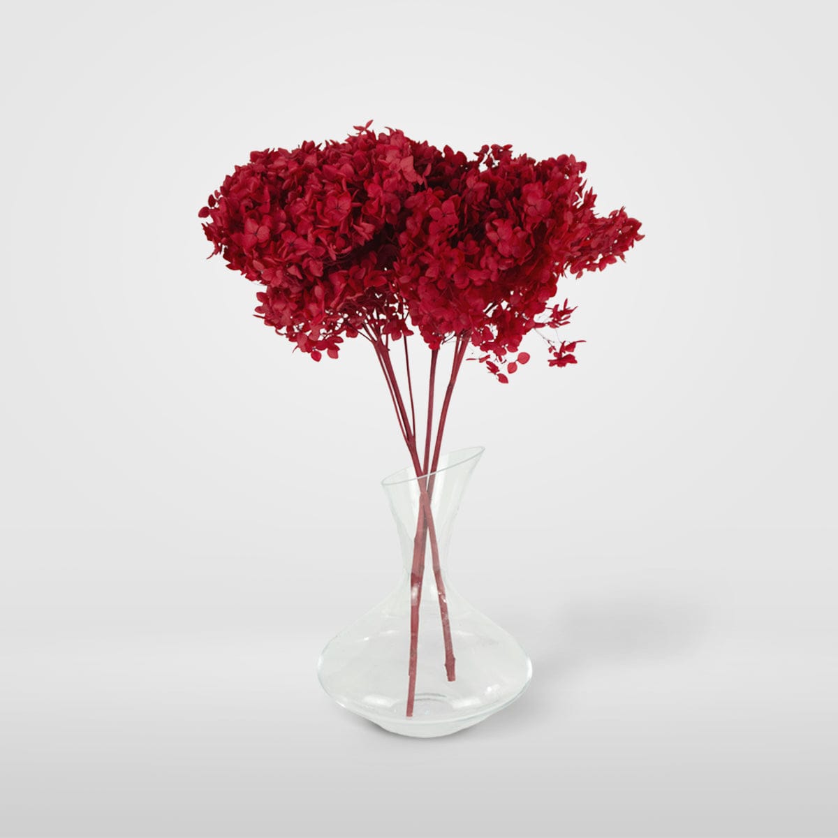 Ramo Hortensia Rojo