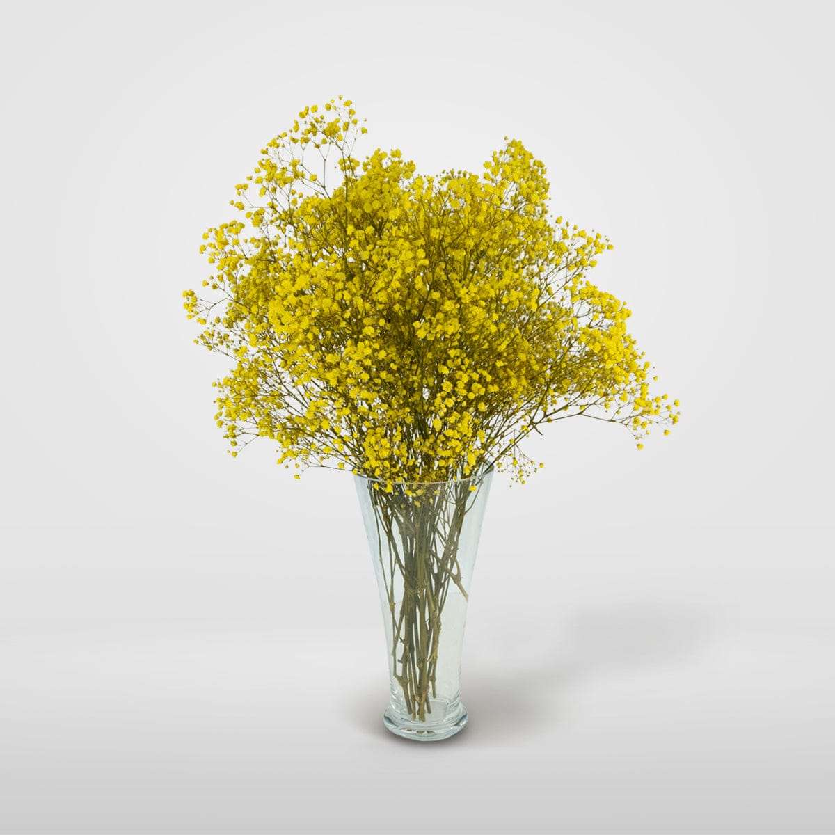 Ramo Gypso Amarillo