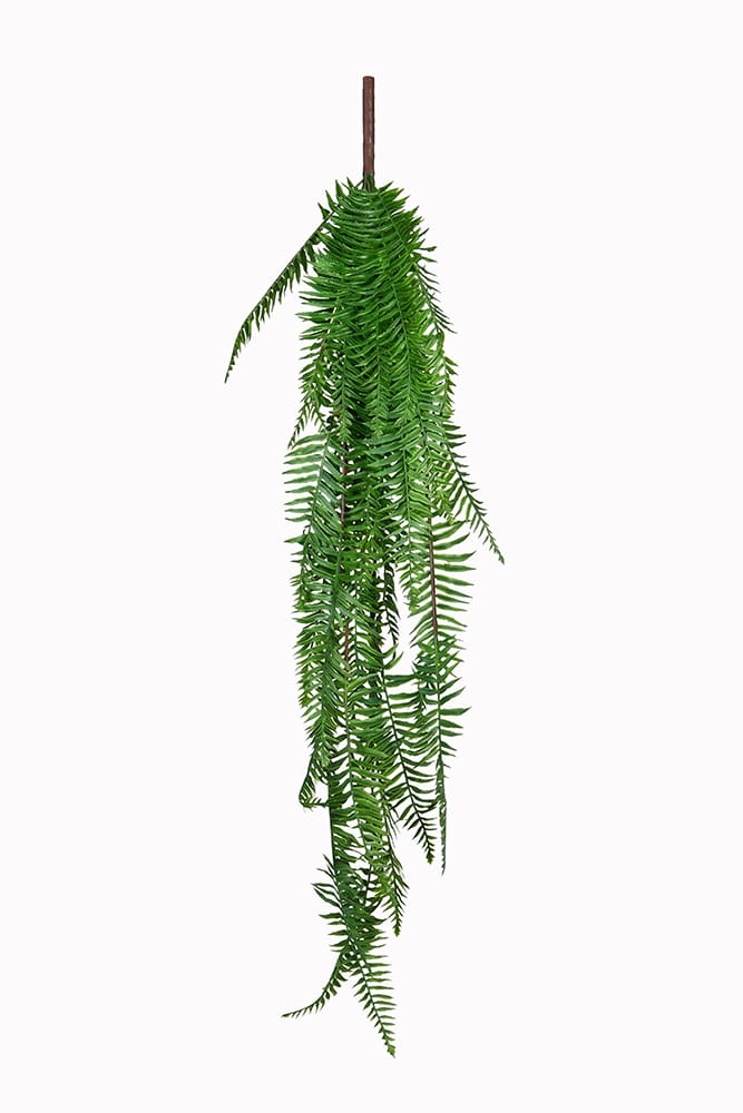 Helechosa Colgante Verde