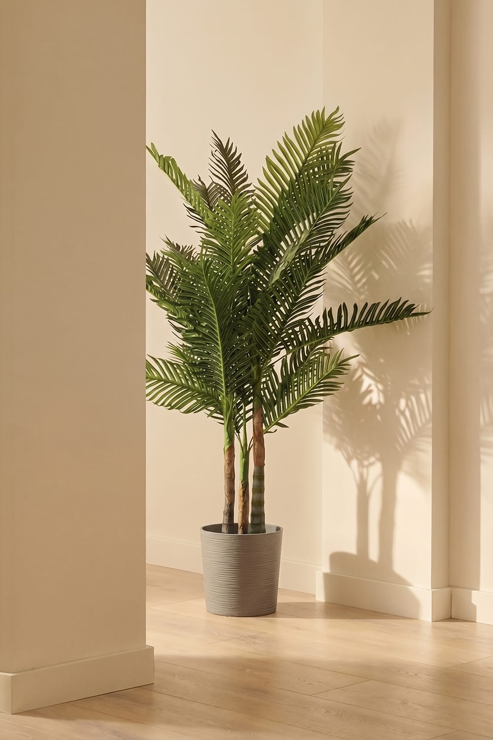 Palmera Tropical