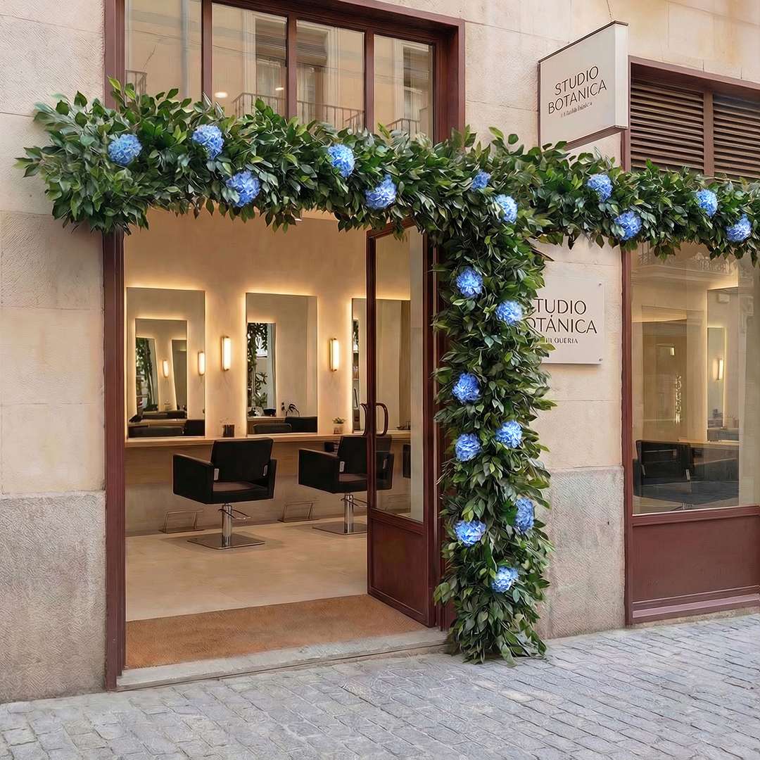 Ficus Hortensia Individual Con Maceta