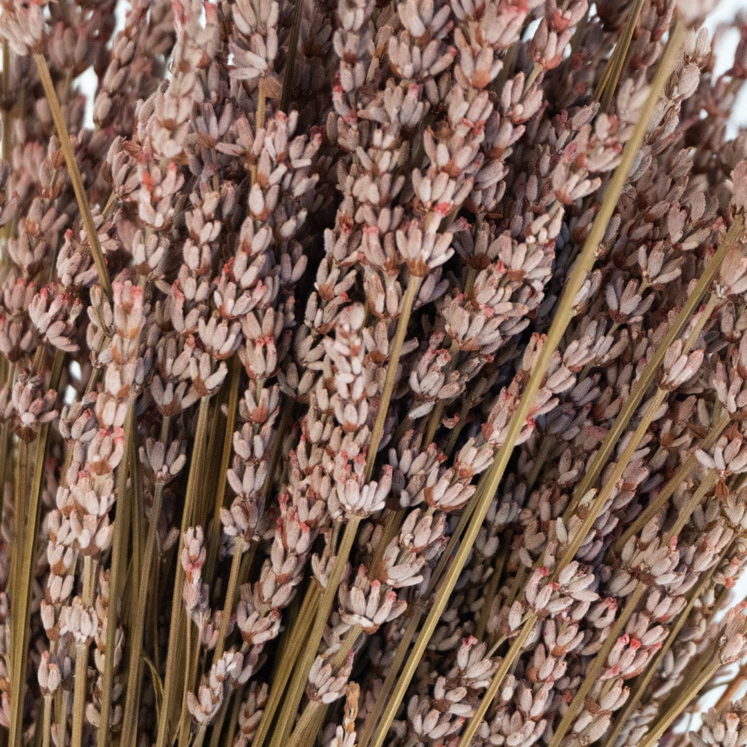 Ramo Lavanda Rosa