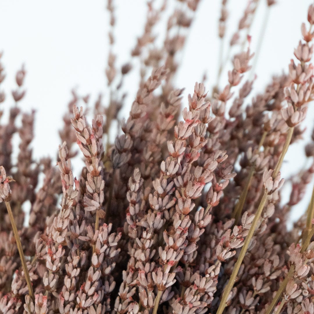 Ramo Lavanda Rosa
