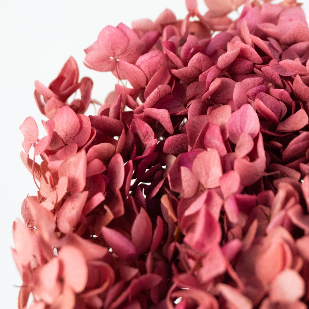 Ramo Hortensia Rosa