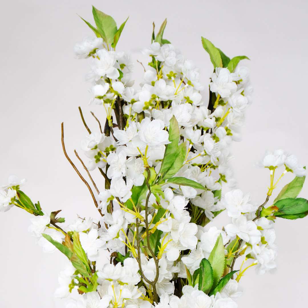 Enredadera Almendro Flexible