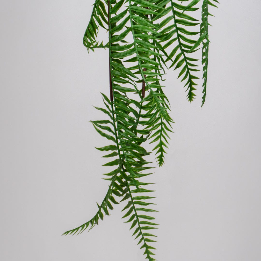 Helechosa Colgante Verde