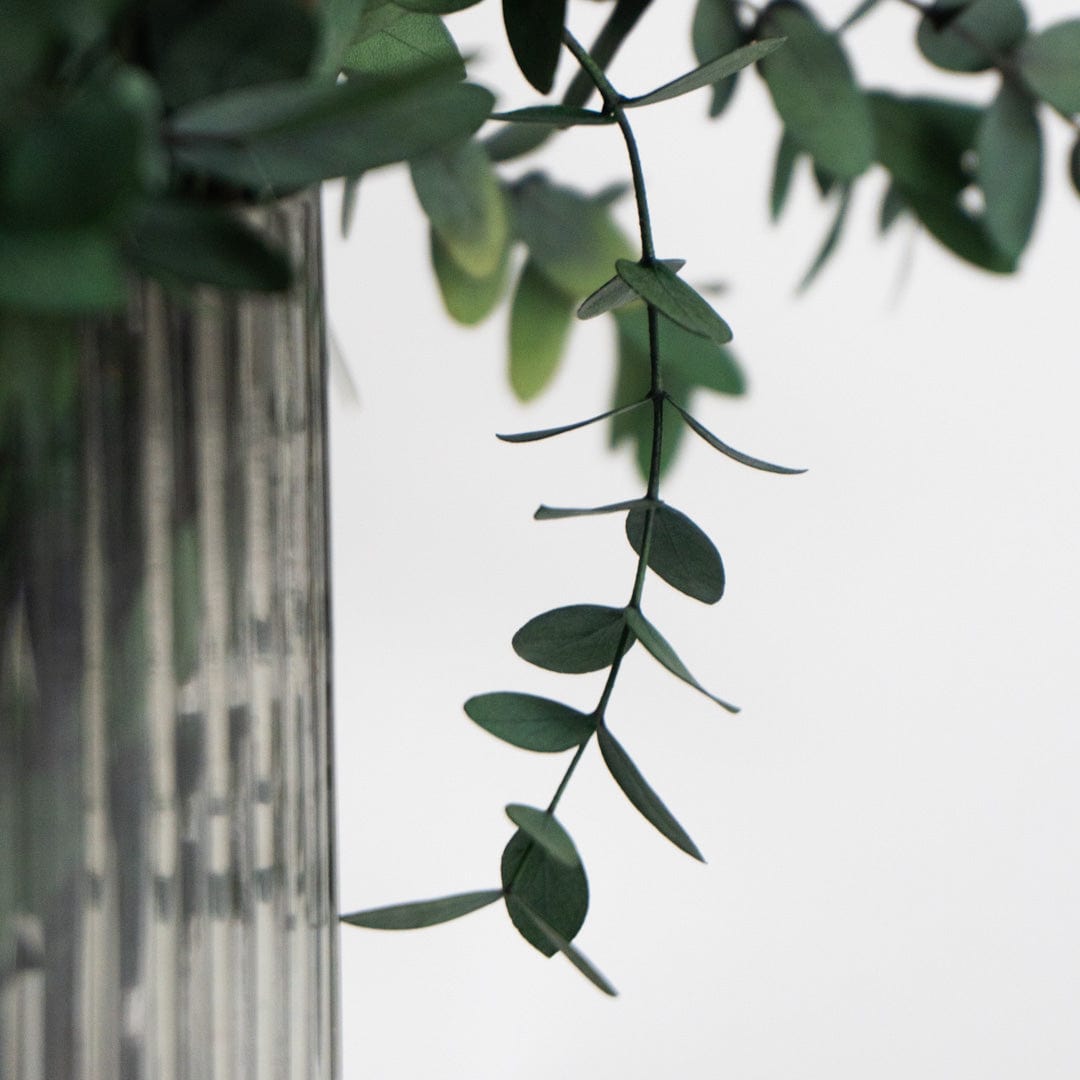 Ramo Parvifolia Verde