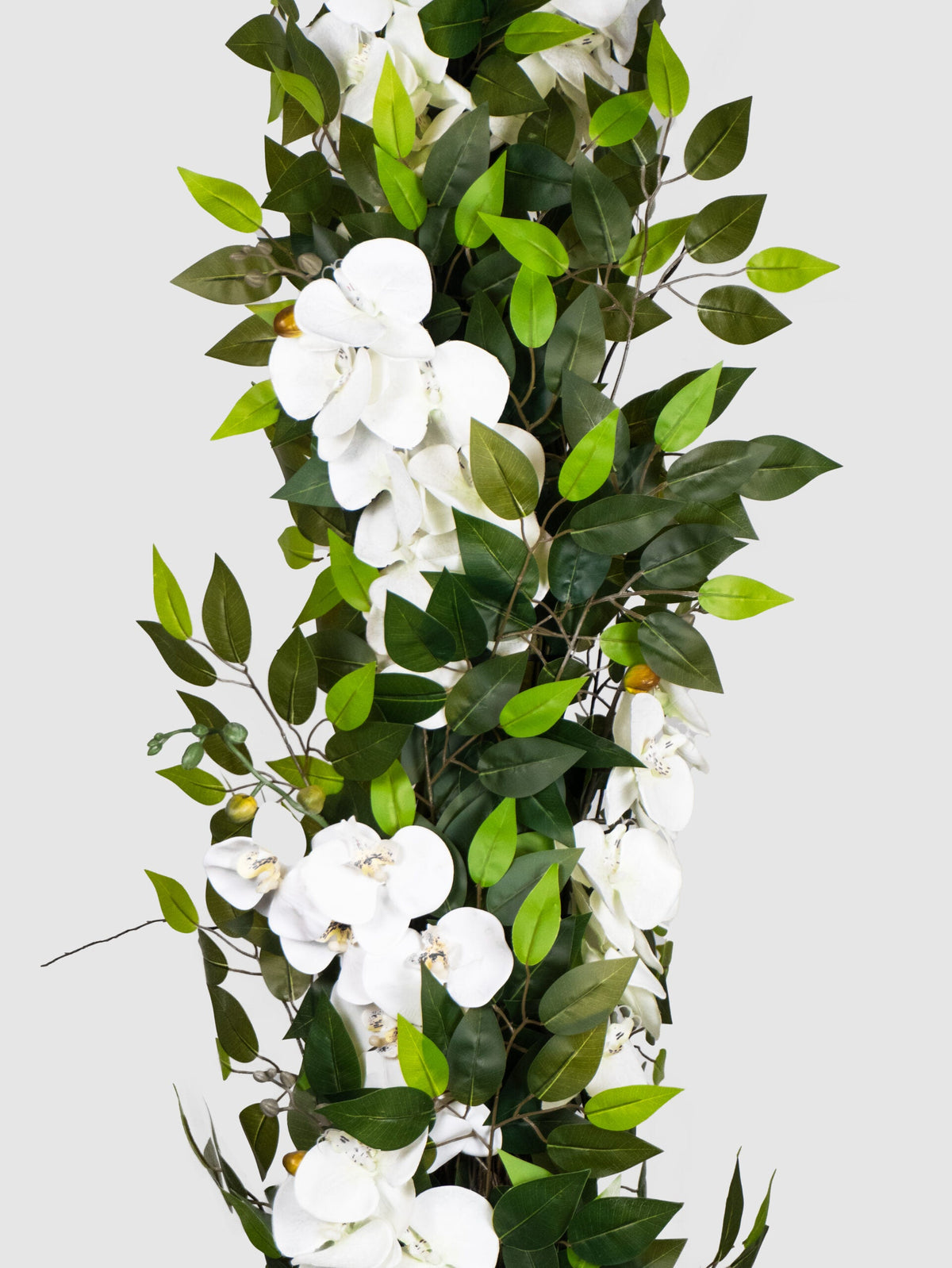 Orquídea Individual Flexible