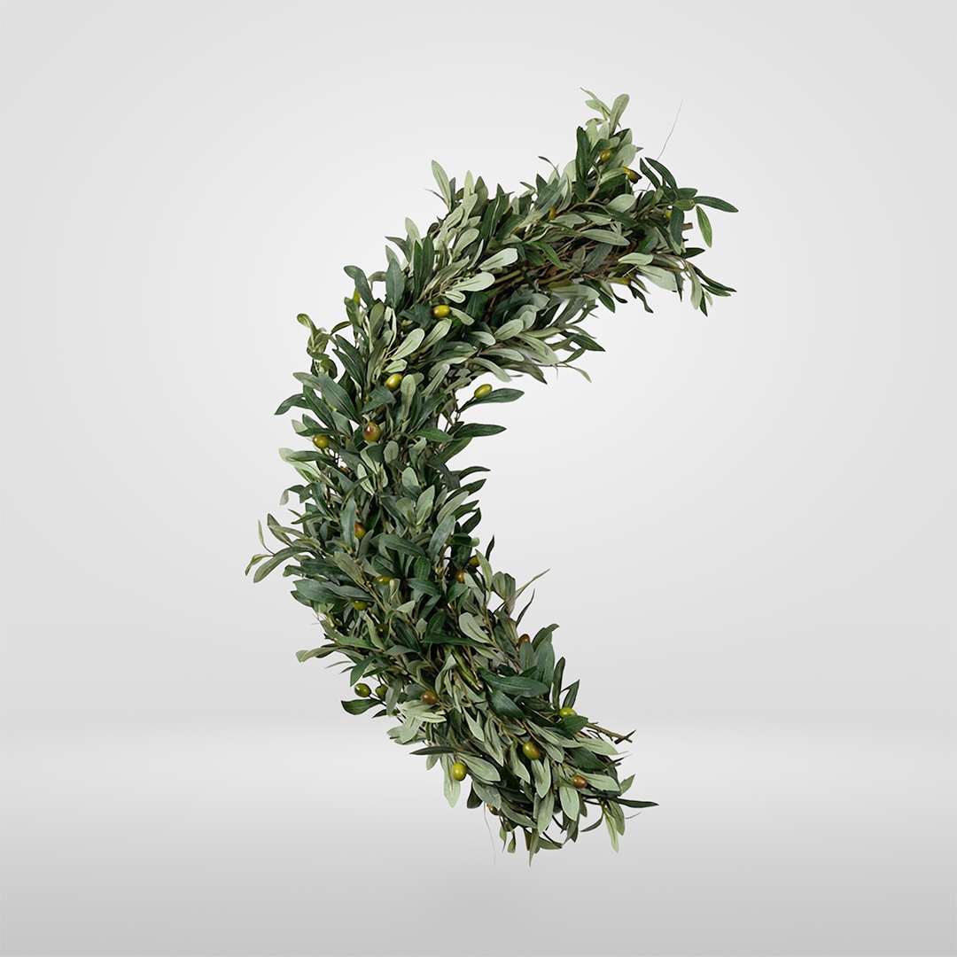 Enredadera Olivo Flexible