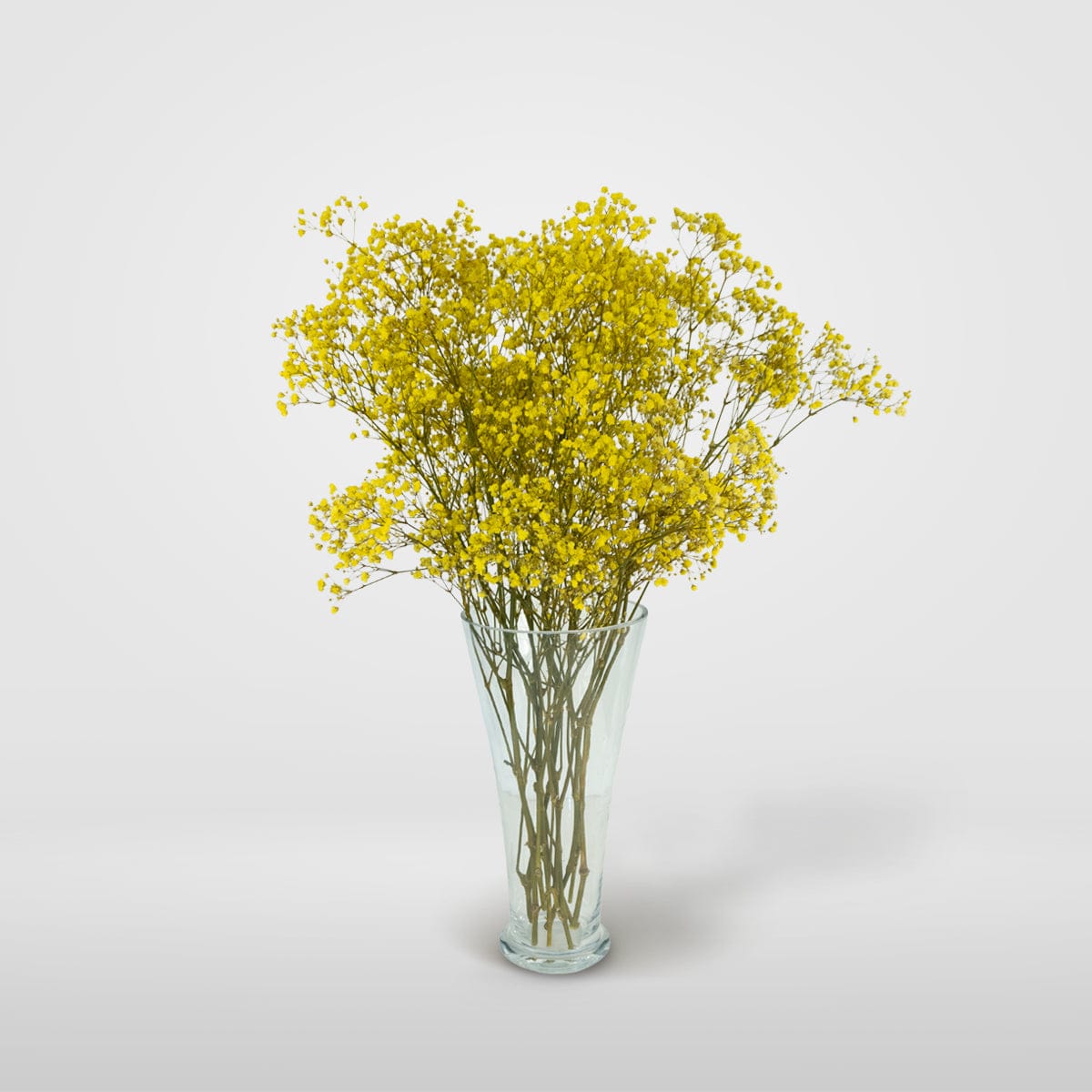 Ramo Gypso Amarillo