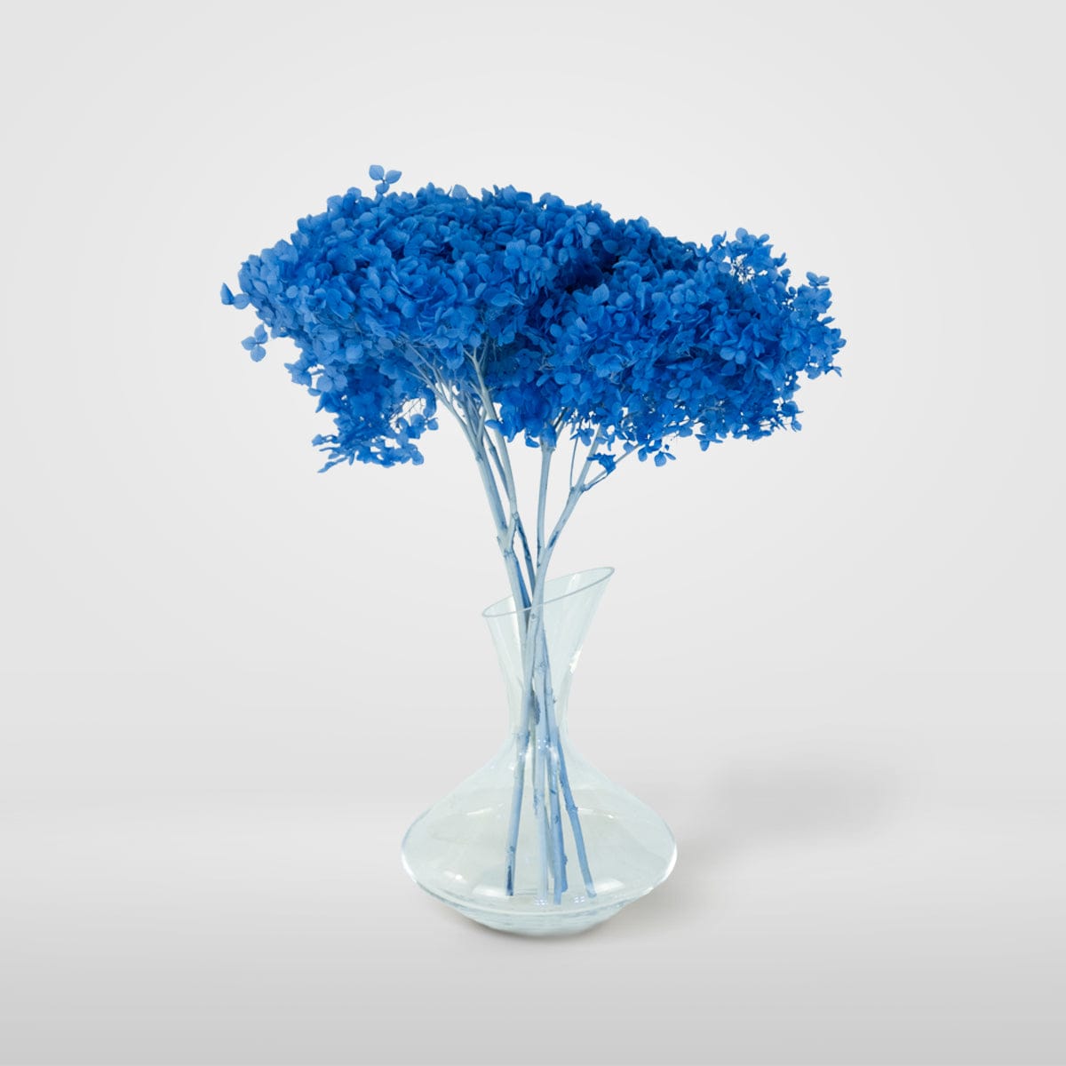 Ramo Hortensia Azul