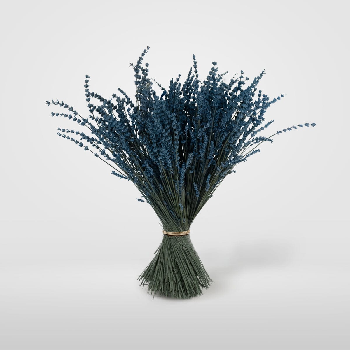 Ramo Lavanda Azul