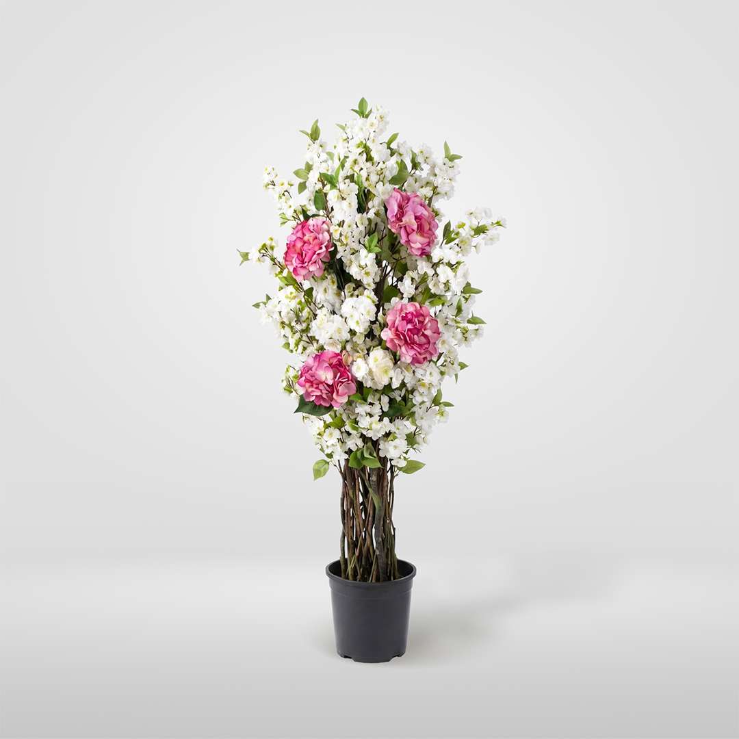 Almendro Hortensia Individual Con Maceta