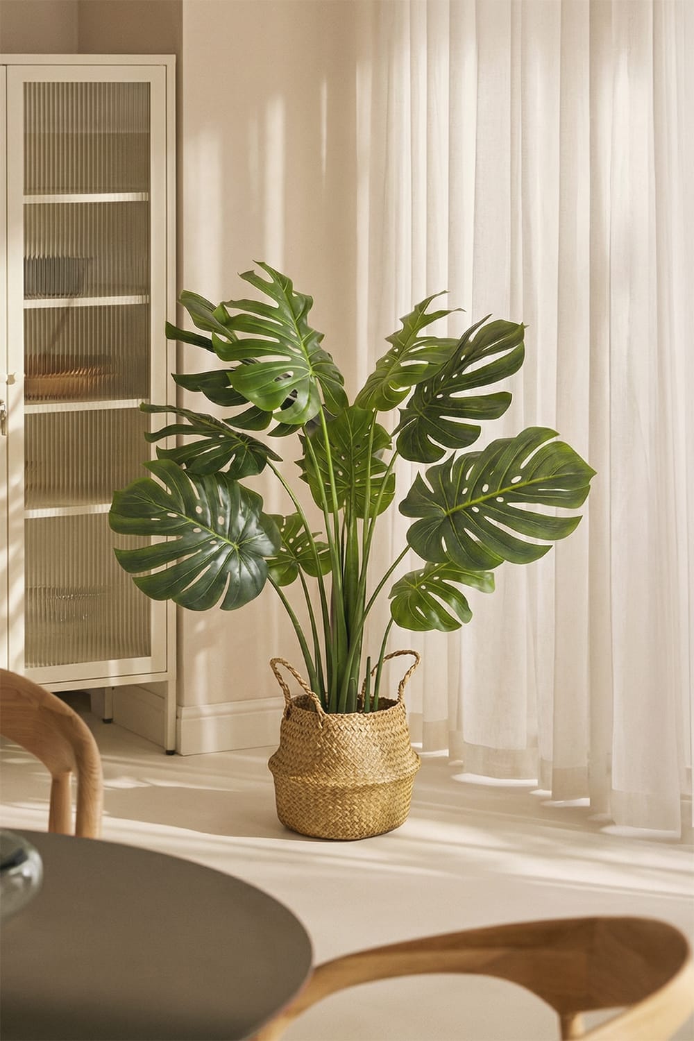 Monstera Exclusive