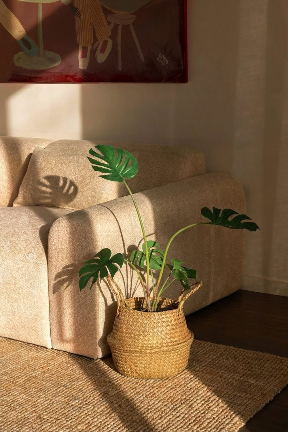 Monstera Philo S