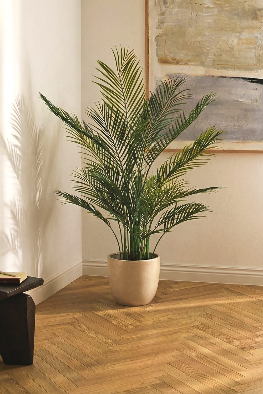 Palmera Areca