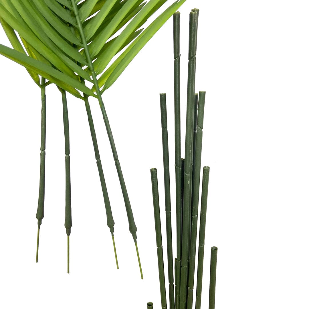 Palmera Mariposa