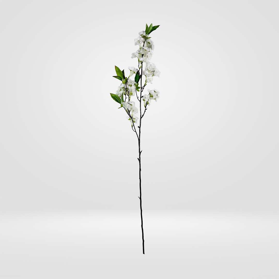 Rama Almendro Blanco