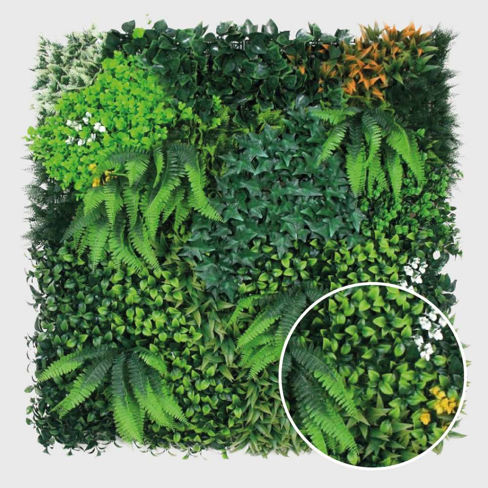 Tropical mixto