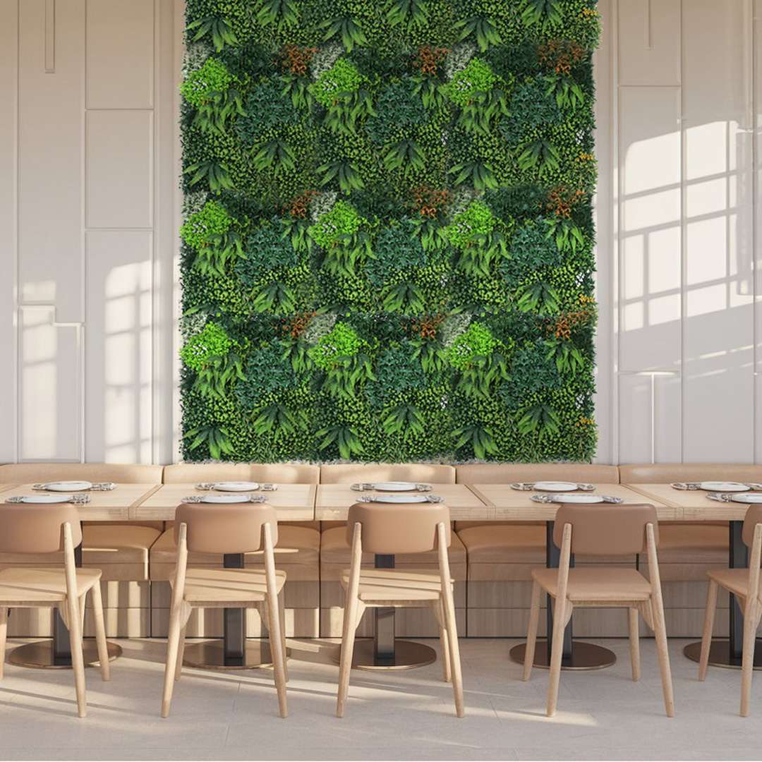 Tropical mixto